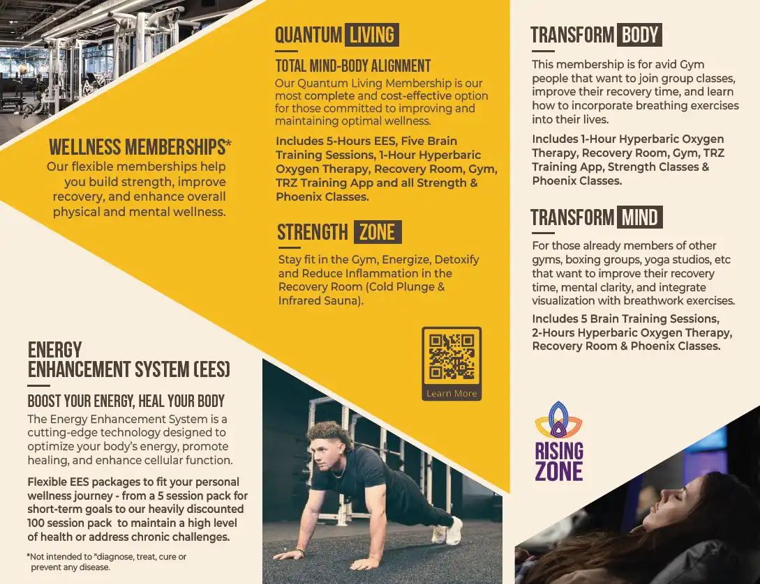 The Rising Zone trifold brochure, alternate front